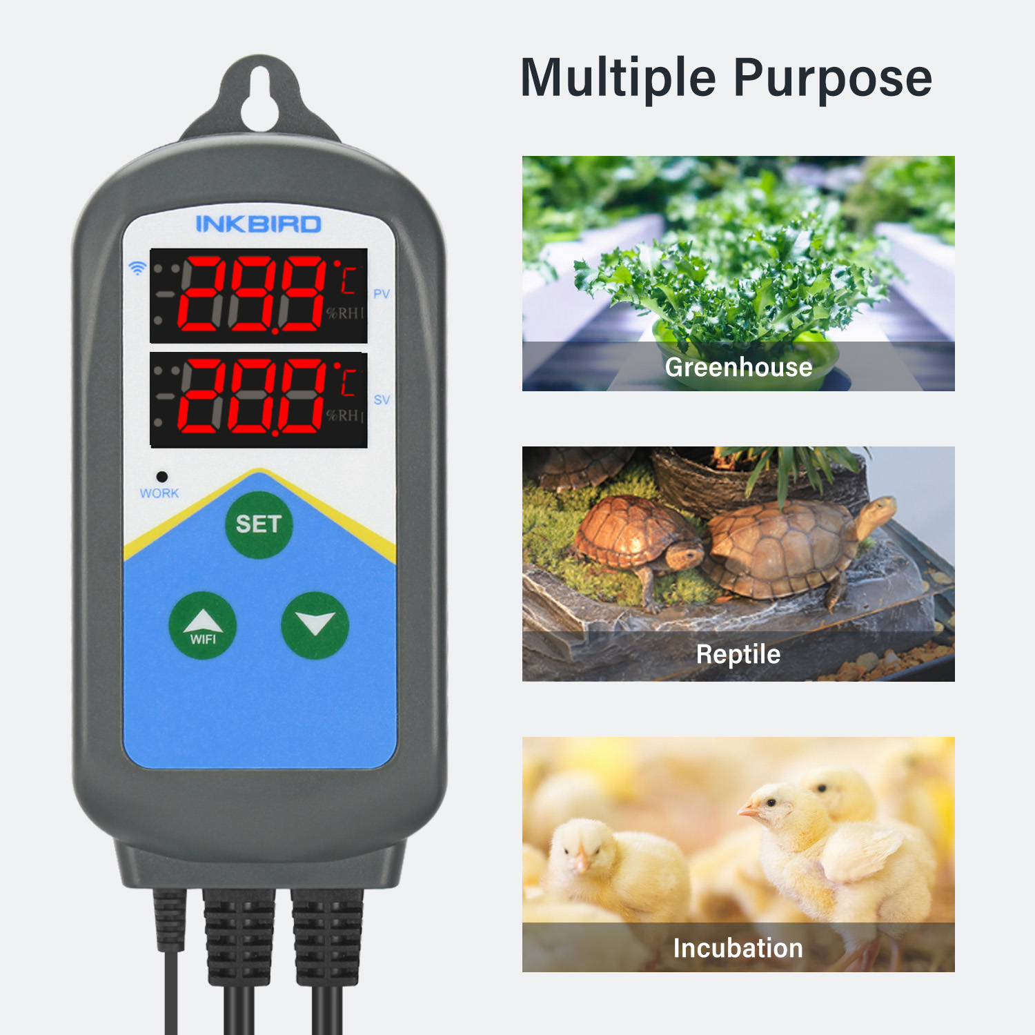 INKBIRD WIFI Thermoregulator I - огляд і ціна Wifi Thermostat