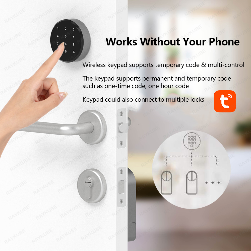 RAYKUBE A1 Pro Tuya BEL Smart  - огляд і ціна Smart Door Lock Wifi