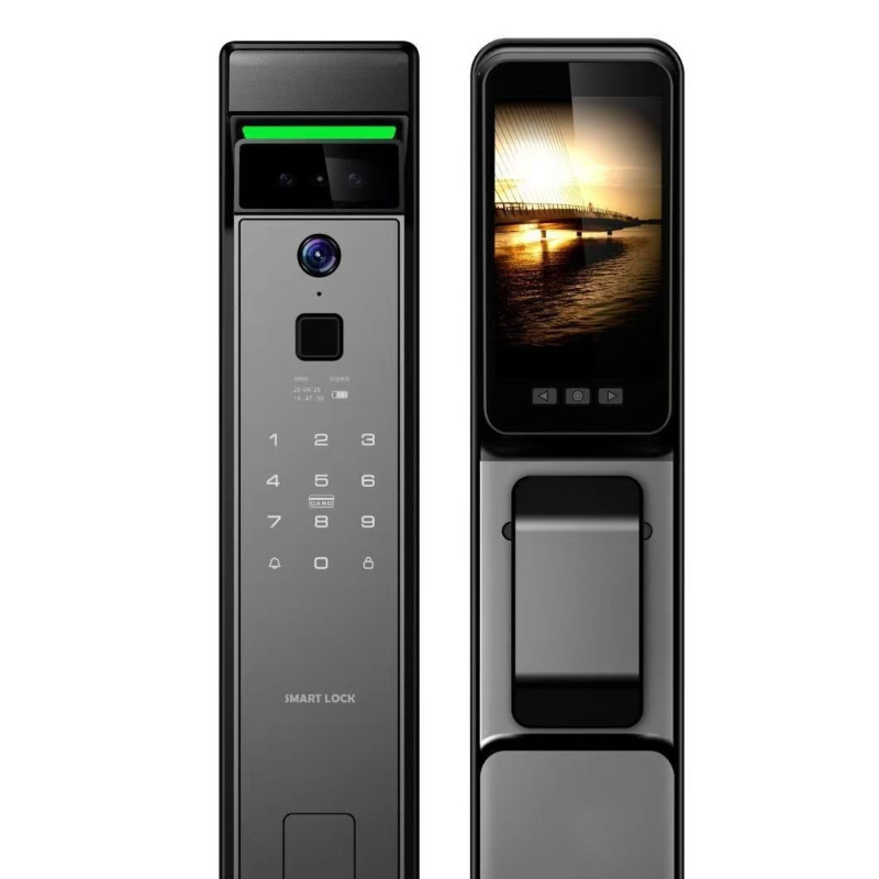 3D Facial Recognition Fingerpr - огляд і ціна Smart Door Lock Wifi