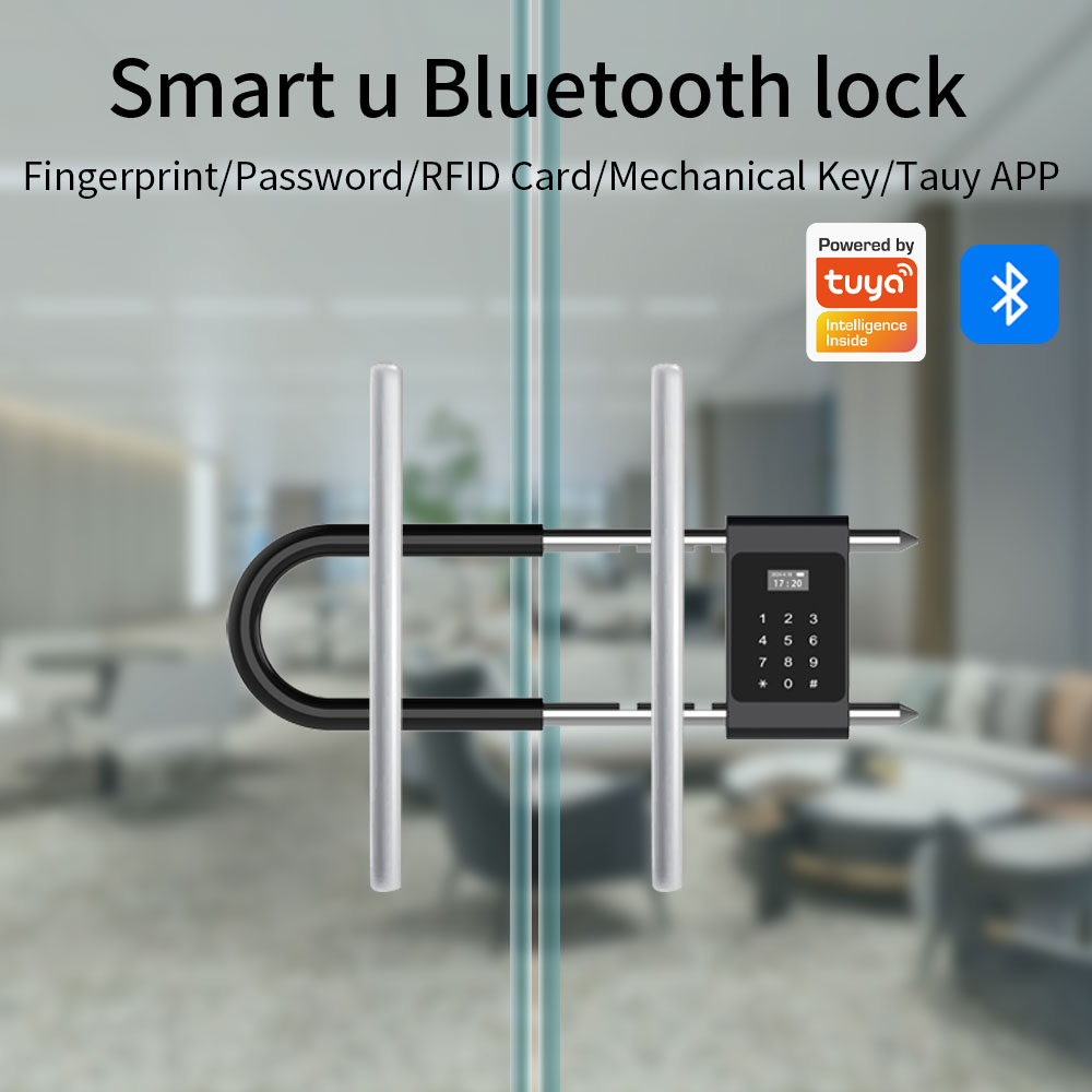 Electronic Biometric Fingerpri - огляд і ціна Smart Door Lock Wifi